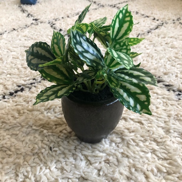 Opalhouse Other - Opalhouse for Target artificial plant in pot